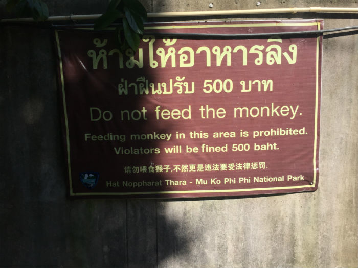 Foto van een waarschuwingsbord waarop staat dat het verboden is om aapjes te voeden op Railay Beach.